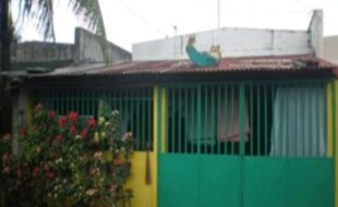 1857009 pic001