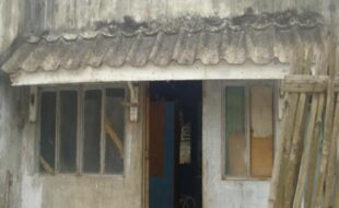 1897197 pic001
