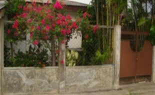 2004678 pic001