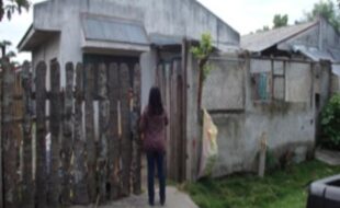 2070239 pic001