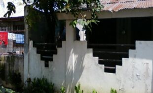 2117637 pic001
