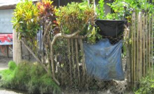 Foreclosed Properties Philippines Database 7 2270458 pic001