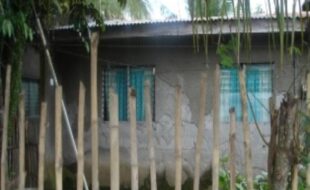2271536 pic001
