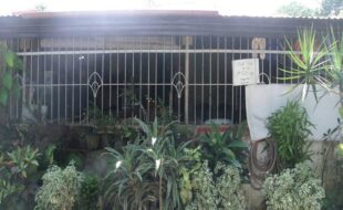 2272155 pic001