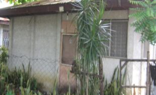 2275177 pic001