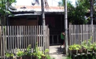 2290681 pic001