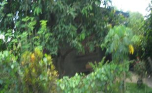 2319893 pic001
