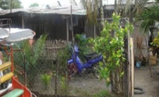 2326435 pic001