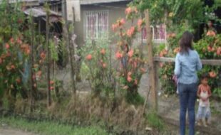 Foreclosed Properties Philippines Database 18 2326514 pic001