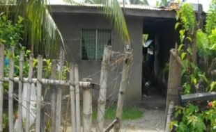 2356437 pic001