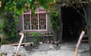 2371135 pic001