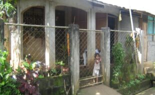 2391939 pic001