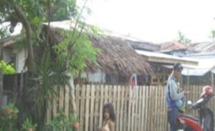2402825 pic001