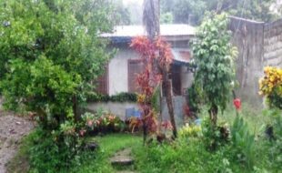 2461608 pic001