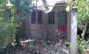 2477244 pic001