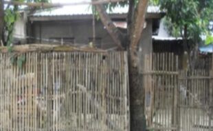2511873 pic001