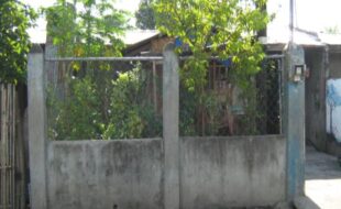 2521215 pic001