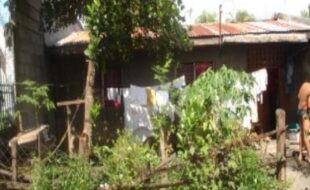 2540045 pic001