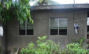 2540084 pic001