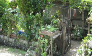Foreclosed Properties Philippines Database 29 2576381 pic001