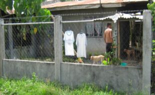 2576399 pic001