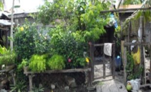 Foreclosed Properties Philippines Database 26 2576596 pic001