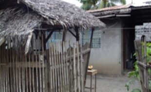 Foreclosed Properties Philippines Database 13 2673395 pic001