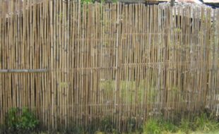 Foreclosed Properties Philippines Database 12 2699932 pic001