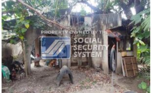 sss lot 8092 f 4 pleasant homes subd punta princesa cebu city
