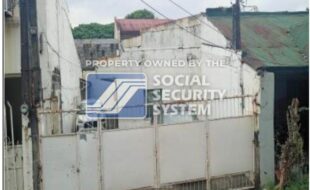 sss lot 15 b block 21 29 a opal street cainta greenpark