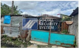 sss 048 lot 10 block 5 evelyn subdivision new visayas