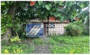 sss 055 lot 22 block 5 evelyn subdivision new visayas