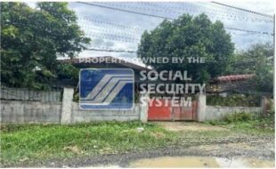 sss 137 lot 6 block 9 sharon faith subdivision new