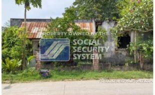 sss lot 897 e 2 enerio st. dampas tagbilaran city bohol