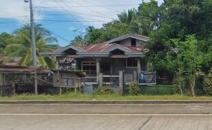 Foreclosed Properties Philippines Database 18 0030604 pic001