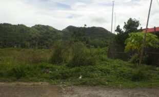 Foreclosed Properties Philippines Database 26 0045187 pic001