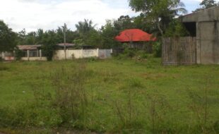 0045194 pic001