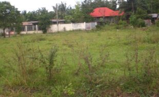 0065389 pic001