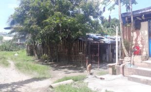 Foreclosed Properties Philippines Database 12 0069622 pic001