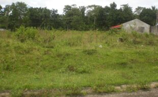 Foreclosed Properties Philippines Database 26 0077574 pic001