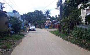 0100161 pic001