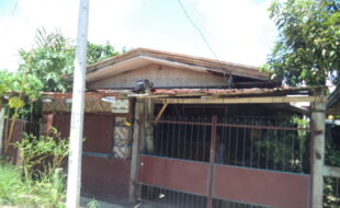 0105364 pic001