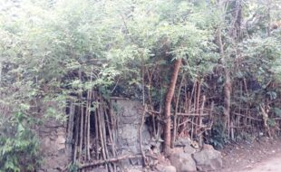Foreclosed Properties Philippines Database 19 0148077 pic001