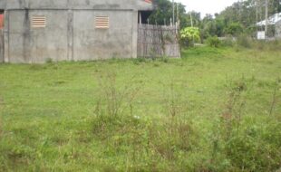 Foreclosed Properties Philippines Database 7 0152689 pic001