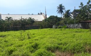 Foreclosed Properties Philippines Database 27 0178742 pic001
