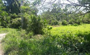 Foreclosed Properties Philippines Database 20 0283114 pic001