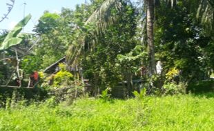 Foreclosed Properties Philippines Database 24 0283121 pic001