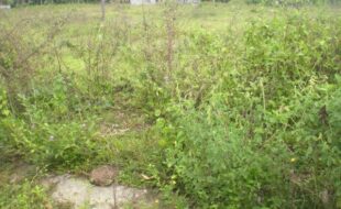 Foreclosed Properties Philippines Database 22 0289172 pic001