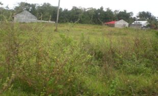 0289205 pic001