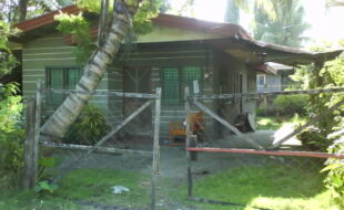 0298765 pic001
